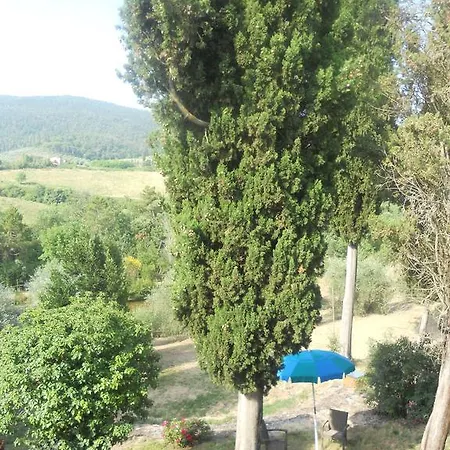 בית הארחה Podere Le Sodole