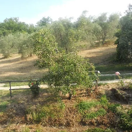Podere Le Sodole * סן ג'ימיניאנו