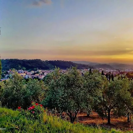 Podere Le Sodole