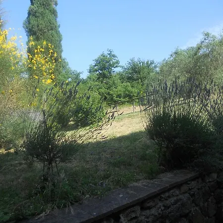 בית הארחה Podere Le Sodole סן ג'ימיניאנו